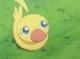 3 duck
