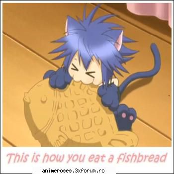:nebun: yoru